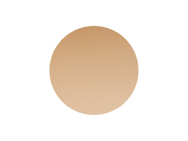 CATWALK_20COMPLEXION_20SWATCH_20TRANSLUCENT